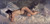 Reclining Nude By George Heidrik Breitner