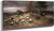 Sheep Stampeding In A Storm By Thomas Sidney Cooper By Thomas Sidney Cooper