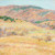 Mountain Pastures Vermont Willard Leroy Metcalf