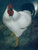 A White Rooster By Jan Mankes