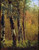 Birch Treesvbirch Trees By Thomas Worthington Whittredge