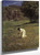 In The Meadow By Hans Thoma In The Meadow By Hans Thoma