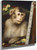 Monkey By Gabriel Cornelius Ritter Von Max