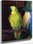 Parrot By George Wesley Bellows