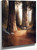 Sequoia Gigantea By Thomas Hill