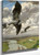 Wondrous Birds By Hans Thoma Wondrous Birds By Hans Thoma
