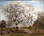 Apple Tree In Blossom By Carl Fredrik Hill