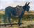 Donkey By Julien Dupre