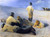 Fishermen On Skagens Beach By Peder Severin Kroyer