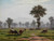 Landscape With Grazing Cows Near Lucerne By Robert Zünd Landscape With Grazing Cows Near Lucerne By Robert Zünd