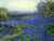 Morning In The Bluebonnets By Julian Onderdonk