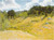 Summer Landscape By John Joseph Enneking