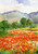 Field Of Poppies, Near Spoleto Italy By Annie G. Sykes
