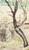 Tree With Farm Beyond By Arthur Garfield Dove