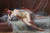 Nu A La Peau Dours by Delphin Enjolras Nu A La Peau Dours by Delphin Enjolras
