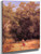 Fresnos, Sauces Y Chopos By Jose Maria Velasco Fresnos, Sauces Y Chopos By Jose Maria Velasco