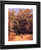 Fresnos, Sauces Y Chopos By Jose Maria Velasco Fresnos, Sauces Y Chopos By Jose Maria Velasco