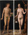 Adam And Eve by Albrecht Durer