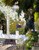 Garden Of The Sorolla House2 By Joaquin Sorolla Y Bastida