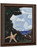 Sea View Starfish New England by Marsden Hartley