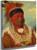 The White Cloud Head Chief Of The Iowas by George Catlin