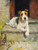 Waiting For Master A Wire Coated Fox Terrier by Arthur Wardle