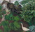 Natlys Rabarbra Gaas Og Haegg (Golden Spring by Nikolai Astrup