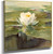 Water Lily In Sunlight by John La Farge