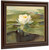 Water Lily In Sunlight by John La Farge