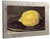 Lemon Edouard Manet