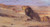 Lions In The Desert Henry Ossawa Tanner