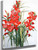 Gladiolus1 By Charles Demuth By Charles Demuth