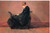 Portrait Of Helena De Kay Winslow Homer