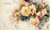 Roses7 Franz A Bischoff