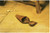 Shoe In Lazy Woman Johannes Vermeer
