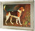 A Foxhound Ringwood George Stubbs