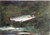 Leaping Trout 2 Winslow Homer