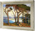 Monterey Cypress2 Franz A Bischoff Monterey Cypress2 Franz A Bischoff