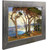Monterey Cypress2 Franz A Bischoff Monterey Cypress2 Franz A Bischoff