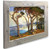 Monterey Cypress2 Franz A Bischoff Monterey Cypress2 Franz A Bischoff