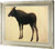 Moose Albert Bierstadt