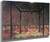 Mystery Lodge George Catlin