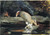The Fallen Deer Winslow Homer