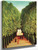 Alee Dans Le Parc De Saint Cloud by Henri Rousseau