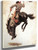 Man On A Bucking Bronco by Nc Wyeth