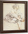 Seated Young Woman by Antoine Watteau