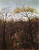 Self Portrait In Landscape by Henri Rousseau