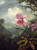 Hummingbird Perched On An Orchid Plant By Martin Johnson Heade