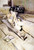 Koto Player, Tokyo By George Henry, R.A., R.S.A., R.S.W.  By George Henry, R.A., R.S.A., R.S.W.