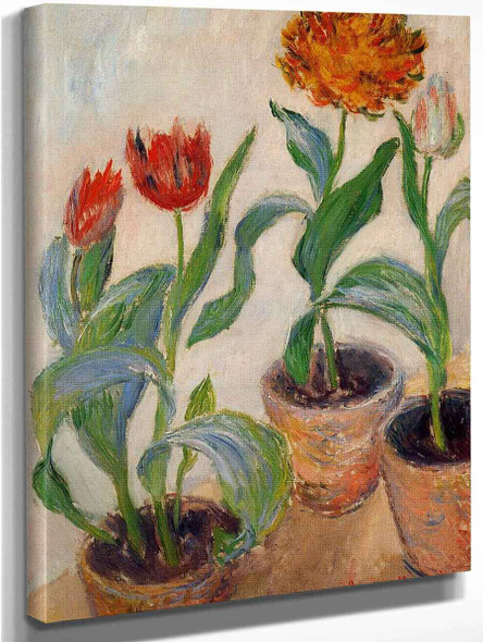 Three Pots Of Tulips By Claude Oscar Monet